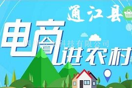 通江县农村电商信息化融合系统与电