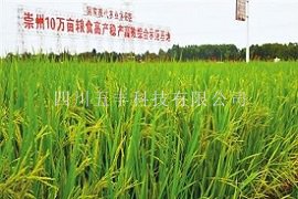 崇州市10万亩高产高效综合示范区智慧