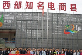 青神县网销农产品溯源体系